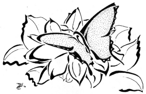 Butterfly Daze