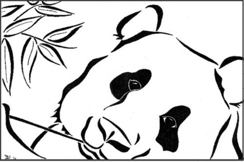 Panda Bear
