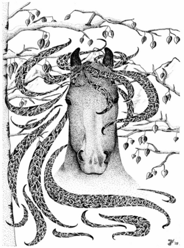 Aspen Dance Card