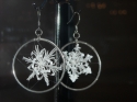 Know Two Snowflakes Know%20Two%20Snowflakes (thumbnail)
