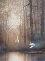 Egrets%20Flying%20in%20Sunset%20-%20Original%20watercolor%20painting%20by%20T.C.Chiu (thumbnail)