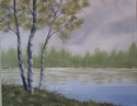 Birch on lonely lake