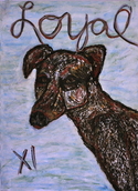 Dog XI - Loyal Dog%20XI%20-%20Loyal (thumbnail)