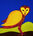 Barn Owl Barn%20Owl (thumbnail)