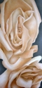 Pale%20Peach%20Roses (thumbnail)