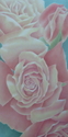 Rose%20Glow (thumbnail)