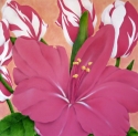 Lily%2FTulips (thumbnail)