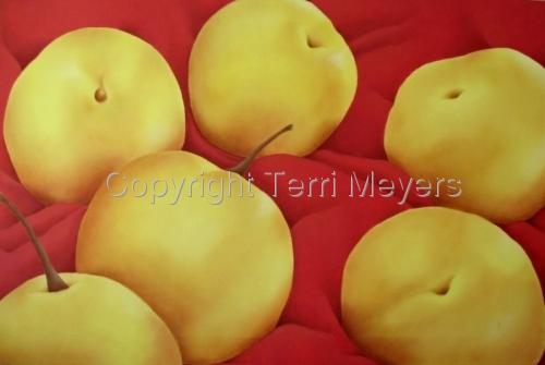 Still Life