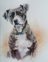 Scrappy