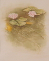 Waterlillies and goldfish