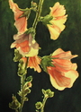 Hollyhocks (available at River's End Gallery)