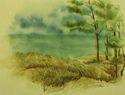 Dunes I