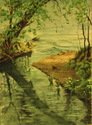 Hidden Stream - Lake Geneva