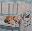 El Gato