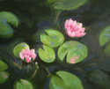 Water%20Lilies (thumbnail)