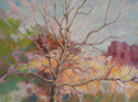 Sycamore%20Spring (thumbnail)