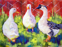 Duck, Duck, Goose