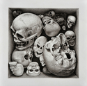 still life, painting, realism, contemporary, skulls,  -  Painting
