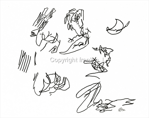 Drawing-Lost Islands