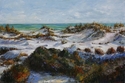 Dunes%20at%20Fort%20Pickens%20%28Gulf%20Islands%20National%20Seashore%29 (thumbnail)