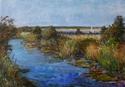 Marsh%20at%20Fort%20Pickens%20%28Gulf%20Islands%20National%20Seashore%29 (thumbnail)