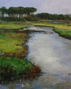 St.%20Joseph%20Peninsula (thumbnail)