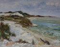 Opal%20Beach%20%20%28Gulf%20Islands%20National%20Seashore%29 (thumbnail)