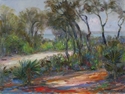 Naval%20Live%20Oaks%20Reserve%20%28Gulf%20Islands%20National%20Seashore%29 (thumbnail)
