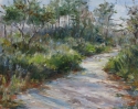 Coastal%20Path (thumbnail)