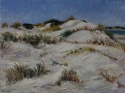 Dune%20Walk (thumbnail)