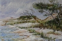 Santa%20Rosa%20Island%20%28Gulf%20Islands%20National%20Seashore%29 (thumbnail)
