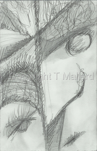 Drawing-Expressionist-Faces Series 5x7