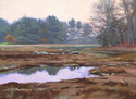 Salt marsh