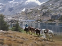 Sierra Pack Mules