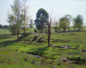 Pasture