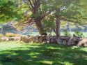 Sun and Stone