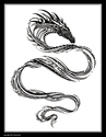 Dragon, fantasy, pen and ink, black and white, Tienne, Tienne Rei, Tienne Rei Kollars, Illustration -  Drawing