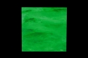 tiffany Birch - Breathing Green