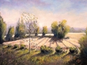 THE CORNFIELD
