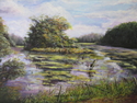 MARSH  ISLAND (SNAKE SWAMP) SUMMER, 2004