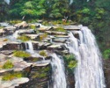 DEER ACROSS THE FALLS