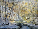 WINTER ON STERLING CREEK