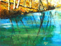 REFLECTIONS