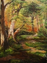 PATHWAY THROUGH WOODS