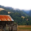 California Barn