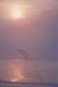 Sunrise fog