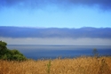 From the edge 2010