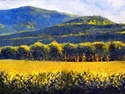 Cornfield