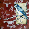 Blue%20Bird (thumbnail)