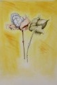 Cotton (thumbnail)